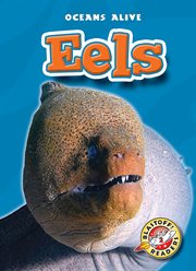 Eels cover image
