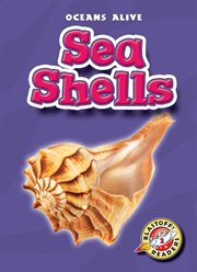 Sea shells cover image