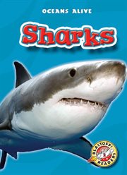 Sharks cover image