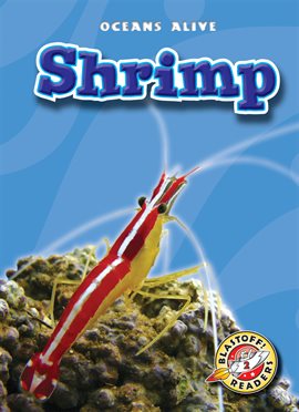 Image de couverture de Shrimp