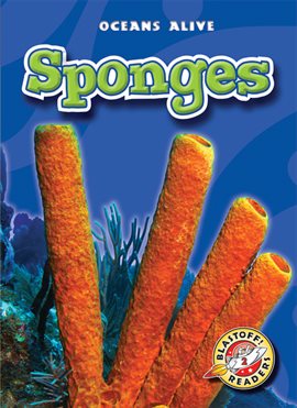 Cover image for Sponges