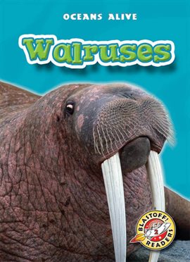 Cover image for Walruses