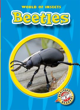 Image de couverture de Beetles