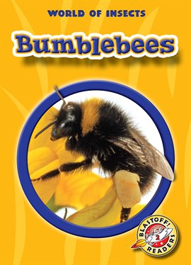 Cover image for Bumblebees