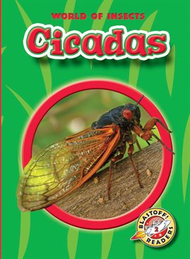 Umschlagbild für Cicadas