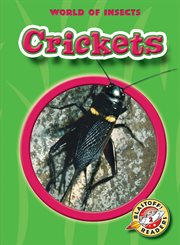 Crickets cover image