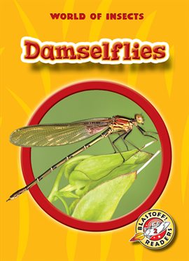 Cover image for Damselflies
