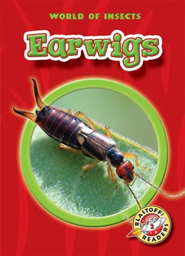 Cover image for Earwigs
