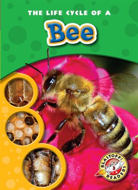 Image de couverture de The Life Cycle of a Bee