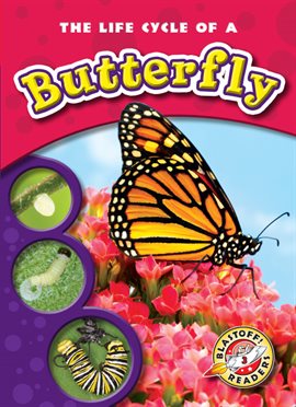 Image de couverture de The Life Cycle of a Butterfly