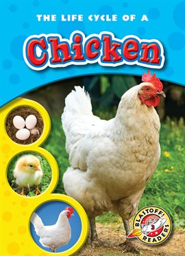Imagen de portada para The Life Cycle of a Chicken
