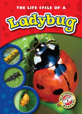 Cover image for The Life Cycle of a Ladybug