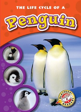 Cover image for The Life Cycle of a Penguin