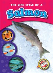 The life cycle of a salmon cover image