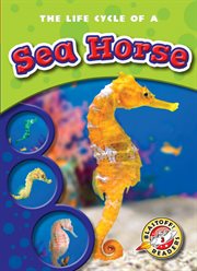 The life cycle of a sea horse cover image