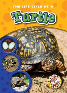 Imagen de portada para The Life Cycle of a Turtle
