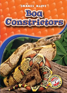 Cover image for Boa Constrictors