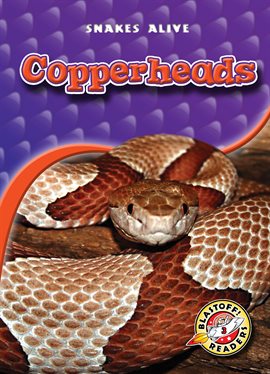 Umschlagbild für Copperheads