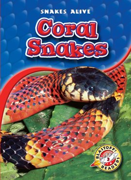 Cover image for Coral Snakes