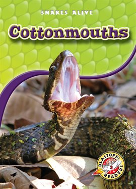 Cover image for Cottonmouths
