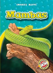 Mambas cover image