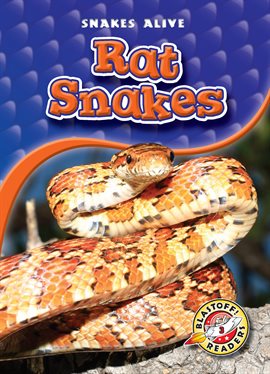 Imagen de portada para Rat Snakes