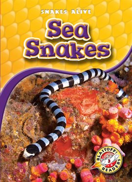 Cover image for Sea Snakes