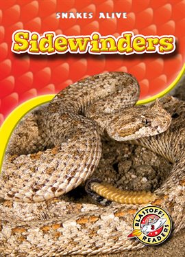 Image de couverture de Sidewinders