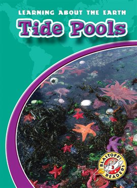 Cover image for Tide Pools