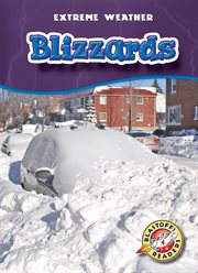 Blizzards cover image