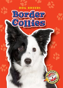 Cover image for Border Collies