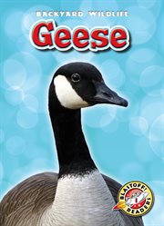 Geese cover image