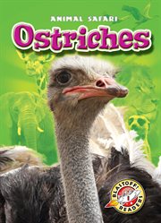 Ostriches cover image