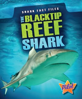 Cover image for The Blacktip Reef Shark