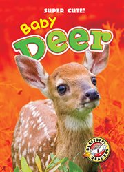 Baby deer cover image