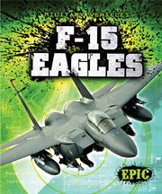 F-15 Eagles cover image