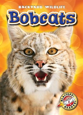 Link to Bobcats by Megan Borgert-Spaniol in Hoopla