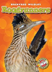 Roadrunners cover image