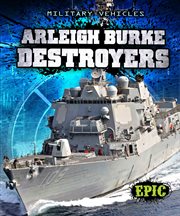 Arleigh Burke destroyers cover image