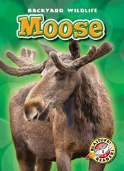 Moose cover image