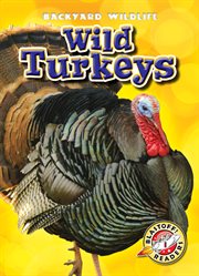 Wild turkeys cover image