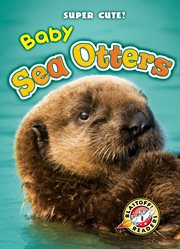 Baby sea otters cover image