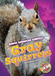Gray squirrels cover image