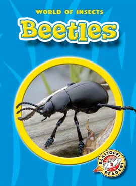 Umschlagbild für Beetles