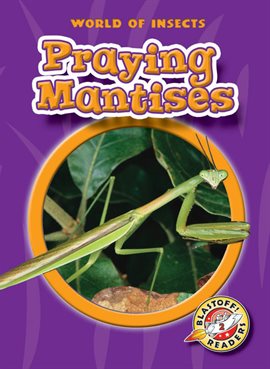 Cover image for Praying Mantises