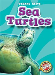 Sea turtles cover image