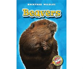 Cover image for Beavers