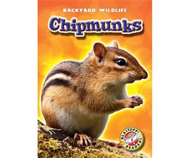 Cover image for Chipmunks