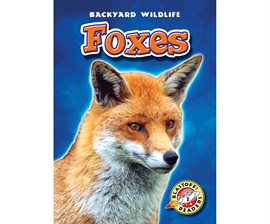 Cover image for Foxes