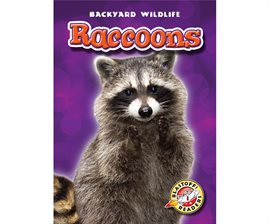 Cover image for Raccoons